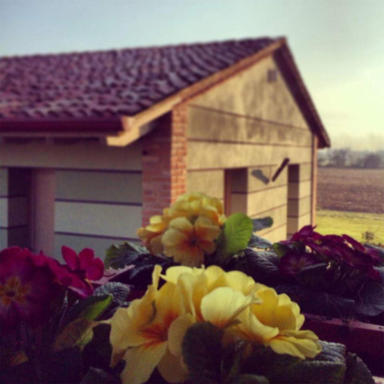 Agriturismo Bassanine Monticelli d'Ongina Екстер'єр фото