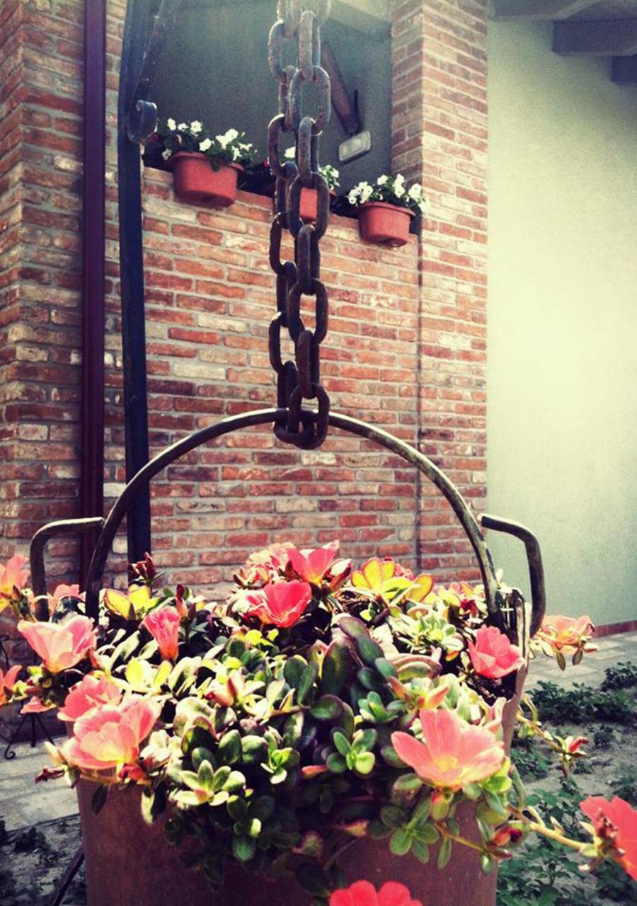 Agriturismo Bassanine Monticelli d'Ongina Екстер'єр фото