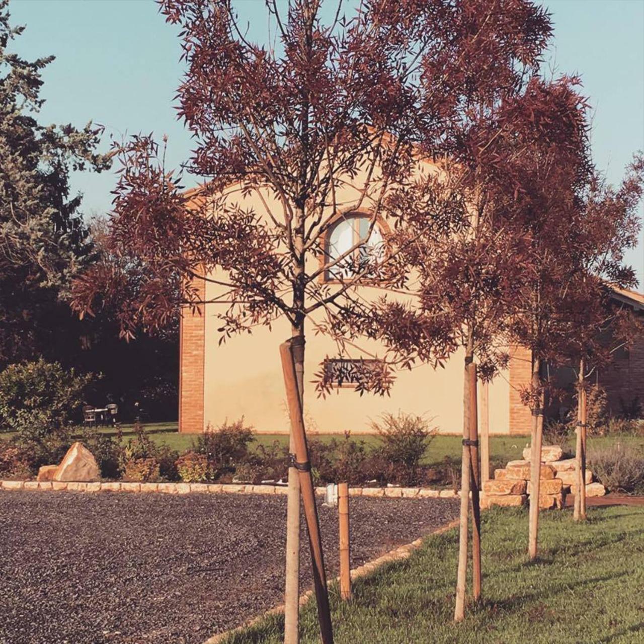 Agriturismo Bassanine Monticelli d'Ongina Екстер'єр фото